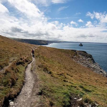 The Salt Path North Devon