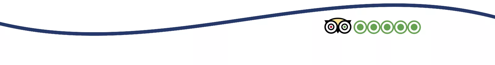 decorative wave image