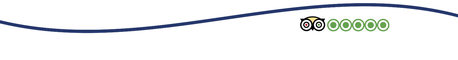 decorative wave image